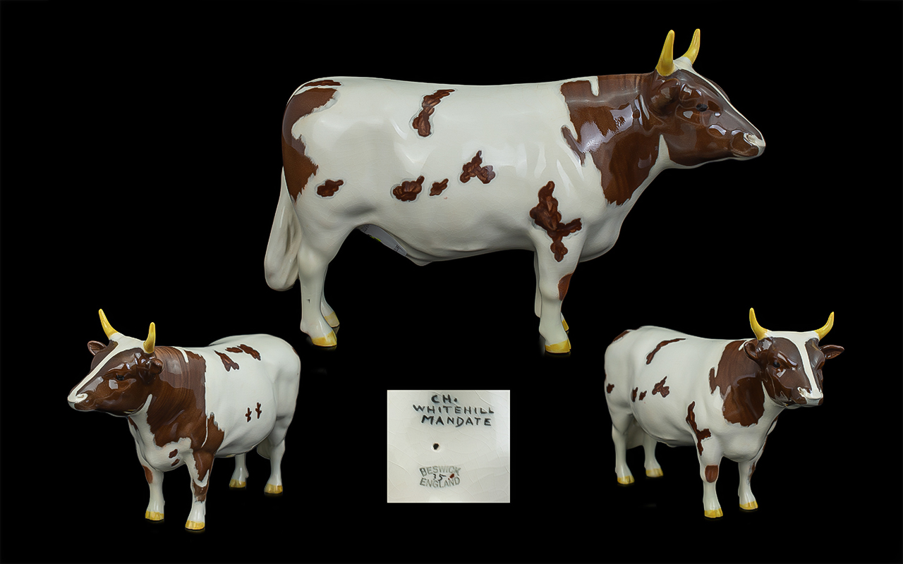 Beswick Hand Painted Bull Figure ' Ayrshire Bull ' CH Whitehills Mandate. Model No 1454B.