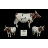 Beswick Hand Painted Bull Figure ' Ayrshire Bull ' CH Whitehills Mandate. Model No 1454B.