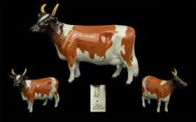 Beswick Hand Painted Cow Figure ' Ayrshire ' Cow CH Ickham Bessie. Model No 1350.
