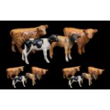 Beswick Hand Painted Collection of Calf Figures ( 4 ) In Total. Comprises 1/ Highland Calf.