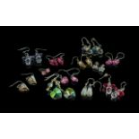 Collection of Elegant Pairs of Earrings ( For Pierced Ears ) Various Shapes, Sizes and Colours. Nice