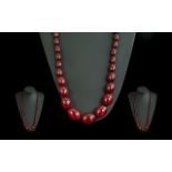 Early 20th Century Excellent Cherry Amber Long Graduated Beaded Necklace,