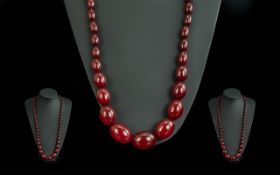 Early 20th Century Excellent Cherry Amber Long Graduated Beaded Necklace,