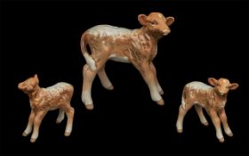 Beswick Hand Painted Calf Figure - Dairy ' Short horn Calf ' Brown / White. Model No 1406C.