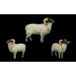 Beswick Hand Painted Farm Animal Figure ' Boreray ' Sheep, Rare Breeds. Model No 4124.