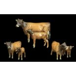 Beswick Hand Painted Farm Animals 'Jersey Cow' and 'Jersey Calf', model nos.