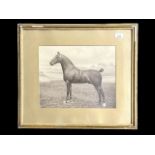 Antique Framed Beautiful Photograph Print of a Horse, with fields and trees in the background,