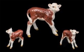 Beswick Hand Painted Calf Figure ' Hereford Calf ' Model No 1406B. Issued 1956 - 1975.