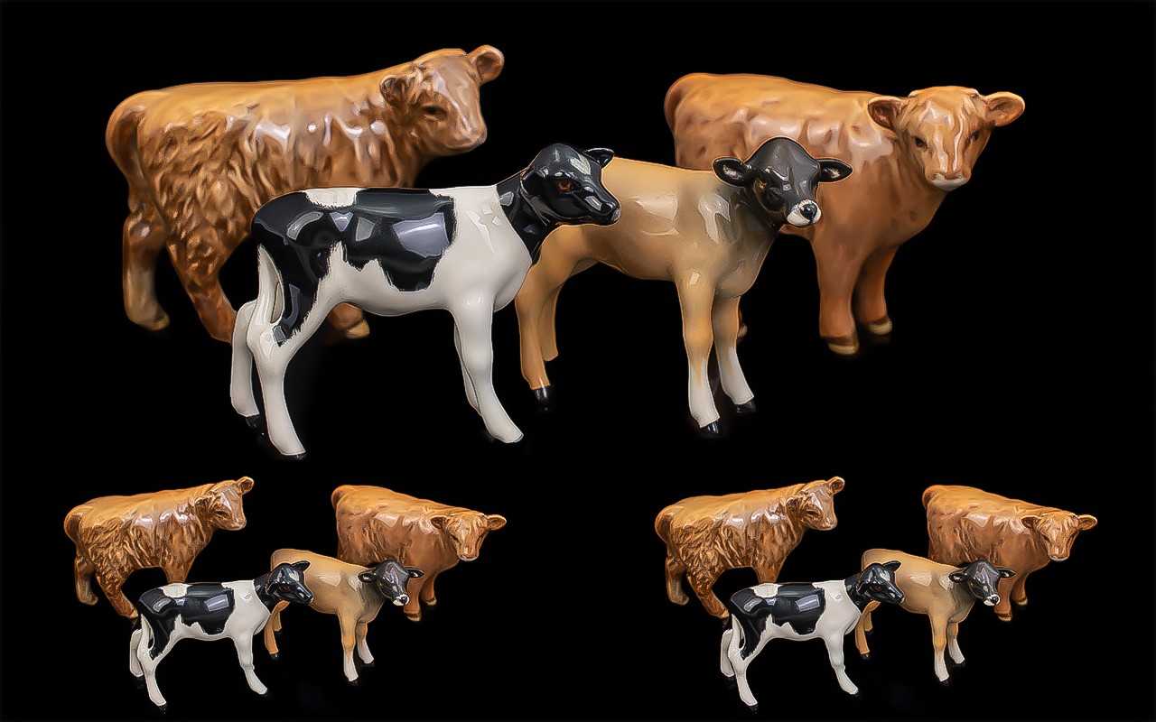 Beswick Hand Painted Collection of Calf Figures ( 4 ) In Total. Comprises 1/ Highland Calf. 2/
