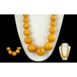 A Superb Quality Butterscotch Amber Graduated Beaded Necklace. Excellent Colour / Grain. Weight 149.