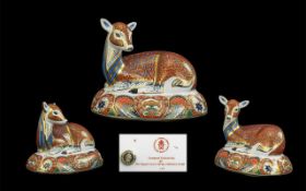Royal Crown Derby Collectors Guild Members Hand Painted Paperweight ' Deer ' Large Size.