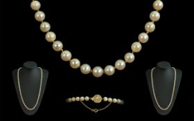 Superb Ladies Quality Single Strand of Fresh Water River Cultivated Pearls, with 14ct gold clasp,