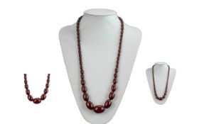 Edwardian Period Excellent Quality Cherry Amber Graduated Beaded Necklace of Long Length. Weight 61.