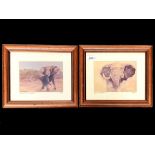 Two Signed R Curwin Prints of Elephants,