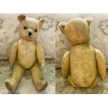 Vintage Teddy Bear, moveable limbs, glass eyes, measures approx 22" in height.