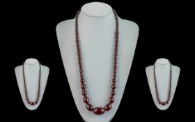 Early 20th Century Superb Quality Cherry Amber Graduated Beaded Necklace. Well Matched.