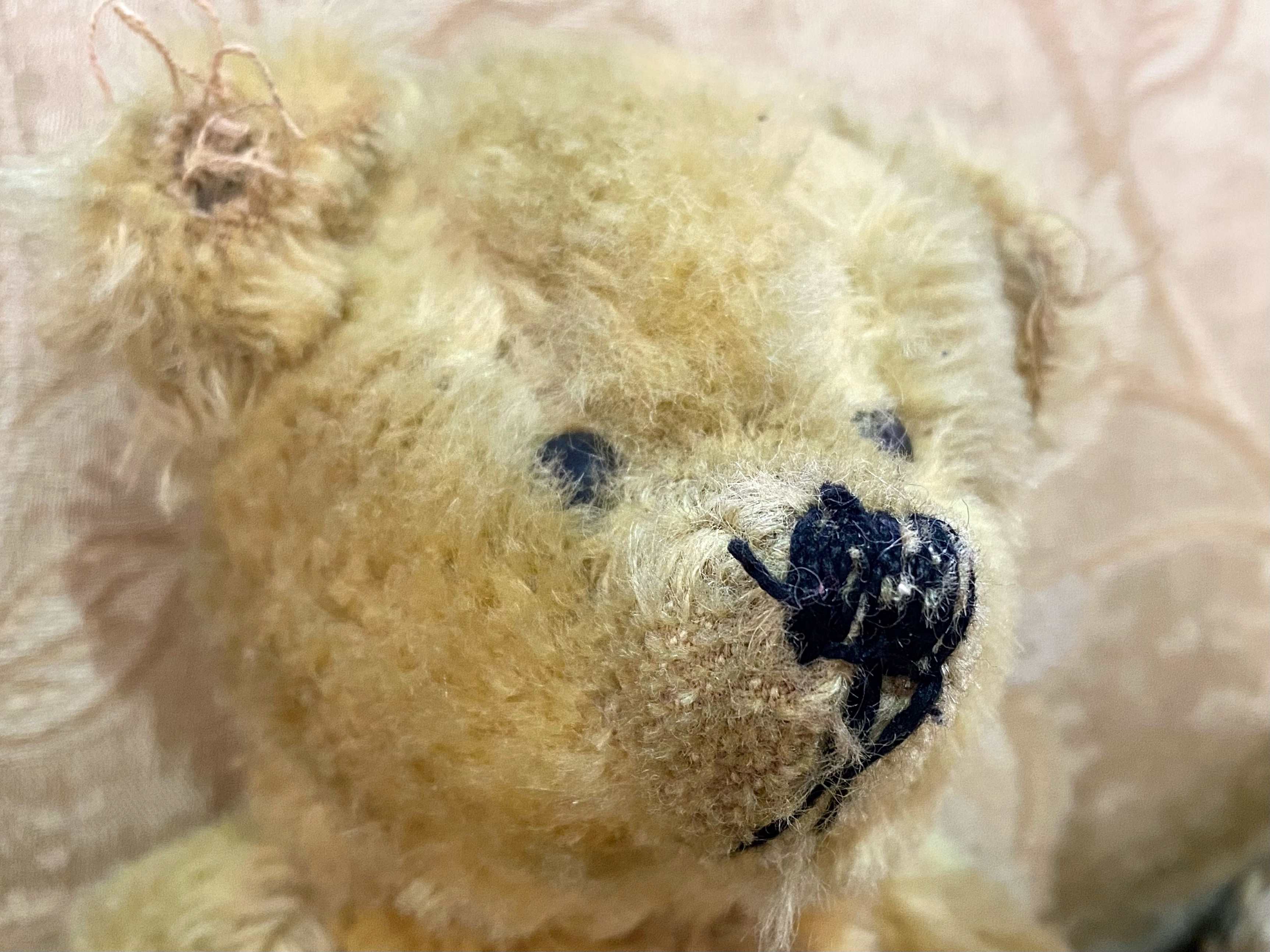 Norbeary Teddy Bear. Norbeary Teddy Bear with original tags and labels. Padded paws. Approx 9'' - Image 2 of 2