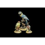 Three Royal Crown Derby Bird Figurines, comprising Macaw, measures 10" tall,