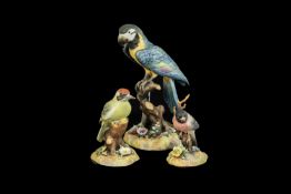 Three Royal Crown Derby Bird Figurines, comprising Macaw, measures 10" tall,