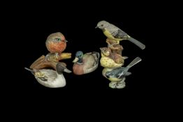 Collection of Bird Figurines, comprising Beswick Great Wagtail, Coalport Robin, two Coalport ducks,