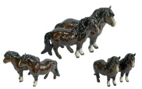 Beswick Pair of Hand Painted Pony Figures ( 2 ) Shetland Ponies ( Woolly ) Model No 1033. Brown