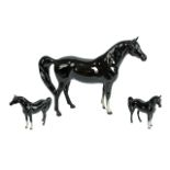 Beswick Hand Painted Horse Figure - Arab ' Xayal ' Model No 1265. Black Colour way. Designer A.