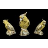 Royal Crown Derby Hand Painted Porcelain Bird Figure Paperweight ' Citron Cockatoo ' Date 2005, Gold