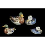 Royal Crown Derby Pair of Hand Painted Porcelain Paperweights. Comprises 1/ Mallard Duck, Modelled