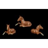 Beswick Hand Painted Porcelain Horse Figure ' Foal ' Lying. Chestnut. Model No 915. Issued 1958 -