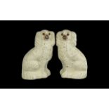 A Pair of Staffordshire Dogs with Glass Eyes Height 11 inches.