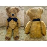 Vintage Teddy Bear, moveable limbs, mohair golden fur, measures 18'' high.