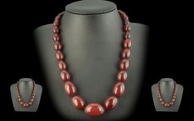A Superb Quality Early 20th Century Cherry Amber Graduated Beaded Necklace.