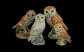 Two Beswick Owl Figures, comprising No. 1046 measuring 8" tall, and a 5" Beswick Owl.