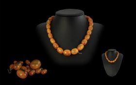 1920s Superb Quality Butterscotch Amber Graduated Bead Necklace with extra matching,