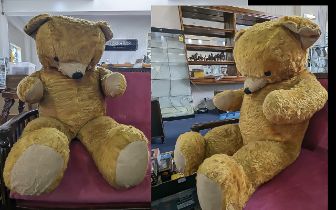 Early Mid Century Very Large Chad Valley Teddy Bear, With Padded Paws and Nose, Pointed Snout,