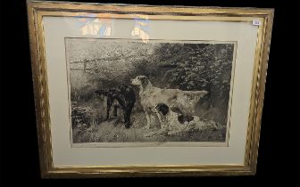 Thomas Blinks Large Victorian Engraving, 'Setters in Woodland', published 1894 by Arthur Tooth &