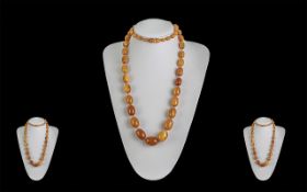 A Superb Quality Early 20th Century Butterscotch Graduated Beaded Necklace of Excellent Colour /