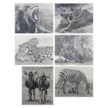 Six black and white photographs of African game and big cats