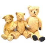 Three early 20th century teddy bears