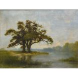 Sydney Herbert, Summer - Tree by lakeside