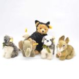 Five Steiff teddy bears, including Dormilli rabbit etc.