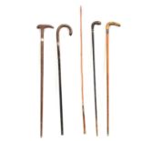 Collection of walking sticks and canes