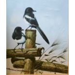 C. Jeffares, Magpies,