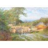 George Shalders, Shepherds with flock,