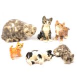 Six Winstanley cats, various sizes