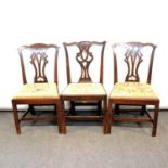 Five Georgian mahogany dining chairs,