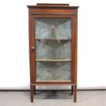 Edwardian mahogany display cabinet,