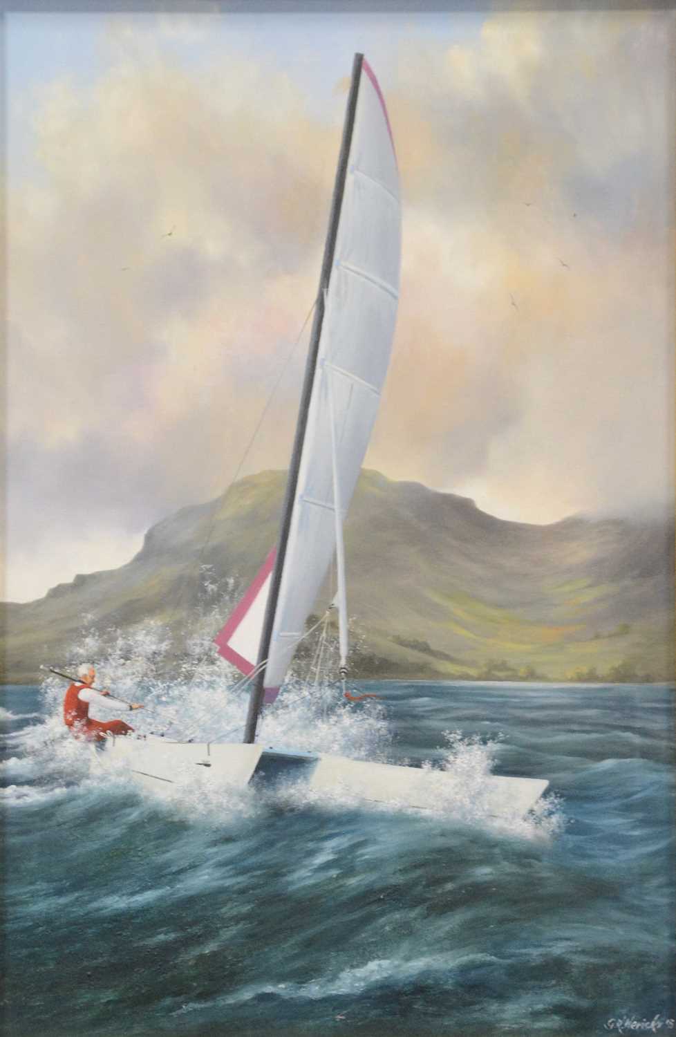 Geoffrey R Herickx, Catamaran