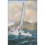 Geoffrey R Herickx, Catamaran