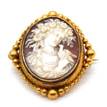 An oval carved shell cameo brooch in yellow metal mount.